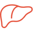 Liver icon