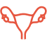 Women's ovaries icon